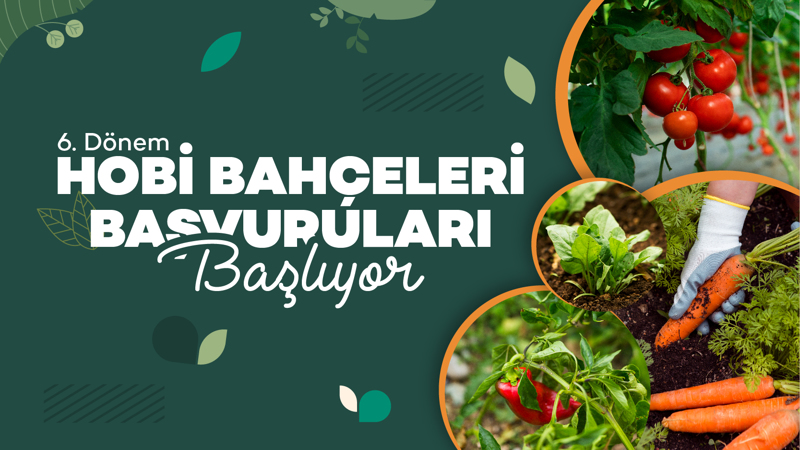 6. Dönem Hobi Bahçeleri Başvuruları Başlıyor