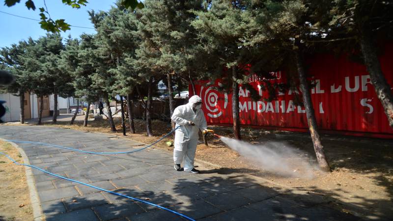 Kene ve Haşerelerle Mücadele için İlaçlama Çalışmaları Başladı 